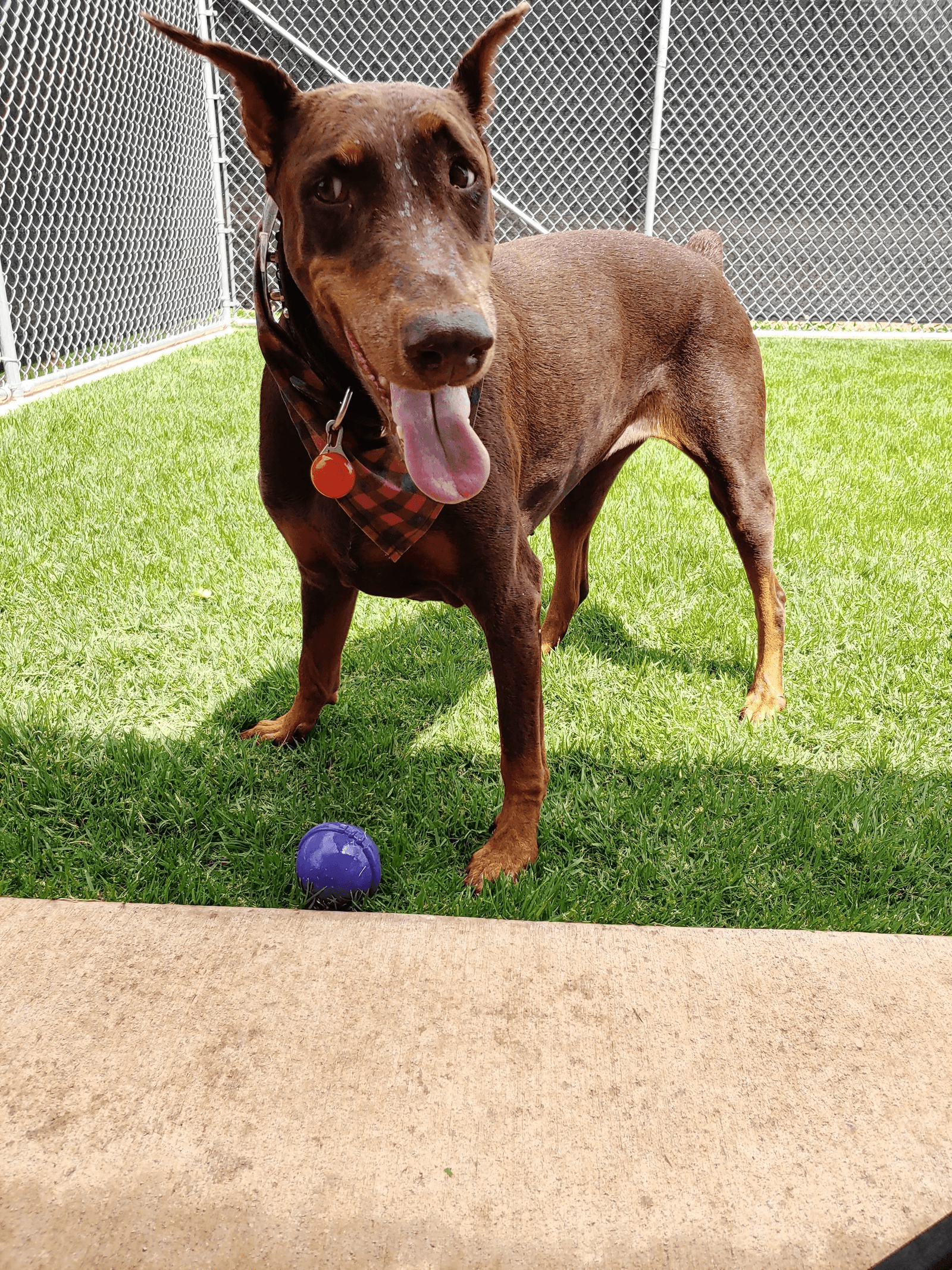 Lots of space to run and play